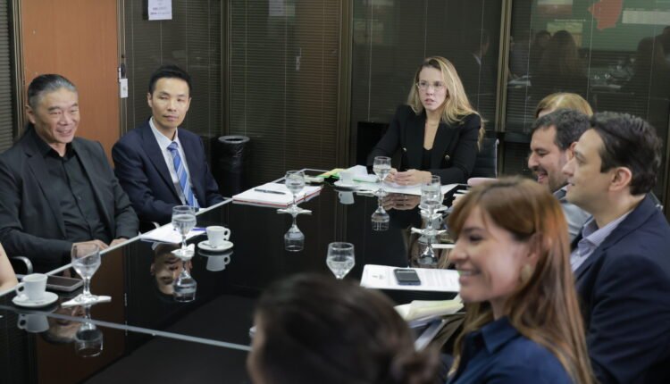 Ceará impulsiona energia eólica com nova filial da gigante chinesa CGN