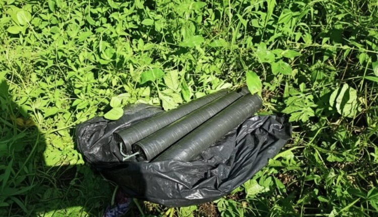 Imagem gerada com IA