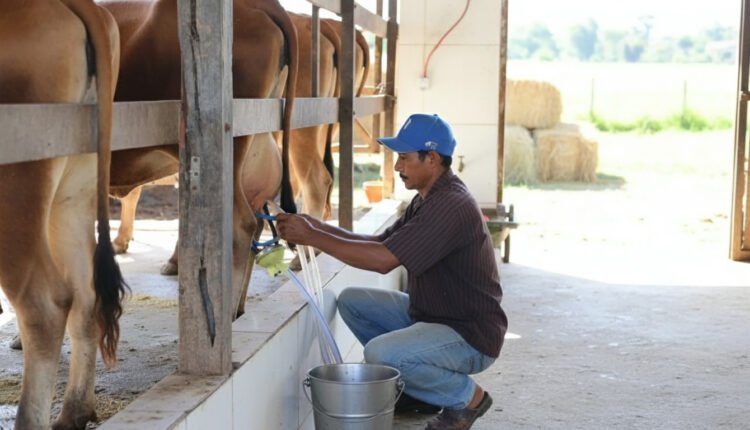 Imagem gerada com IA