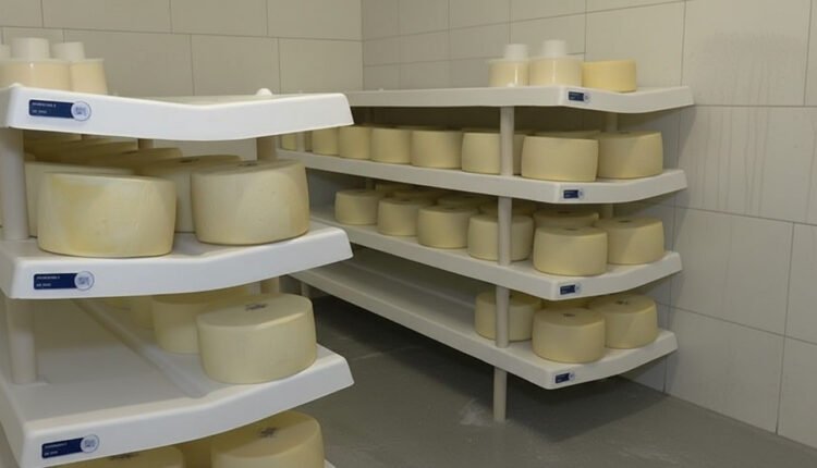 Imagem gerada com IA