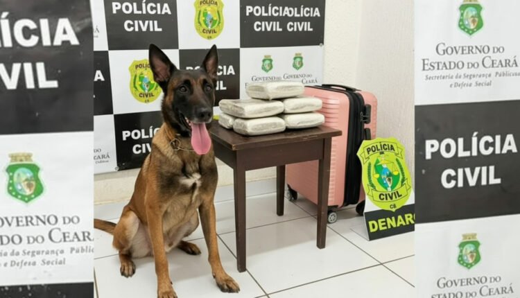 Imagem gerada com IA