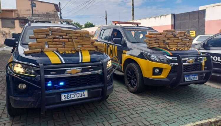 Operação conjunta em Caucaia desarticula rota do tráfico com apreensão de 67 kg de skunk