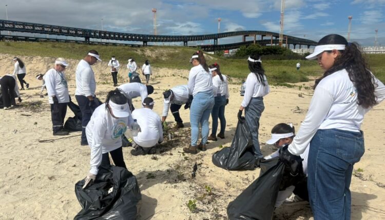 Limpeza de praia no Pecém: mutirão histórico remove toneladas de resíduos e impulsiona consciência ambiental