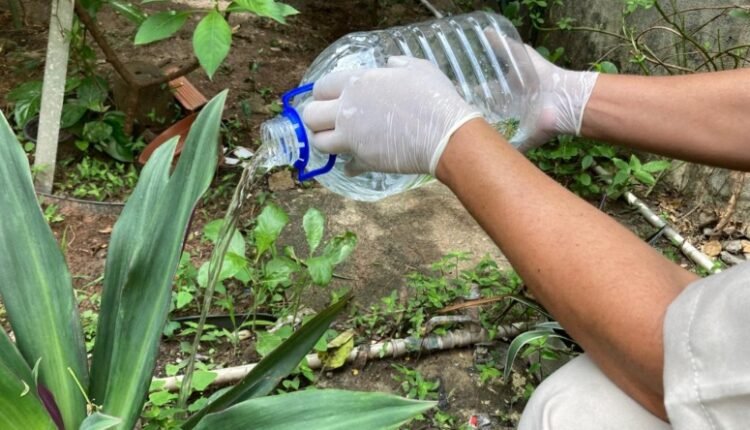 Dengue: entenda os sinais de alerta para buscar emergência em Sobral