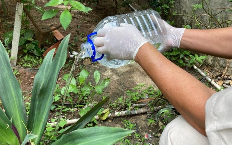 Dengue: entenda os sinais de alerta para buscar emergência em Sobral