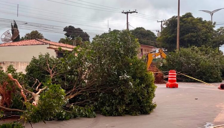 risco de dano ambiental - MPCE --> --> --> --> --> --> --> --> --> --> --> -->