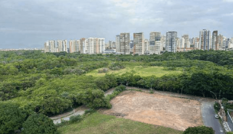 comercializar empreendimento "Casa Monã" em área de preservação perman