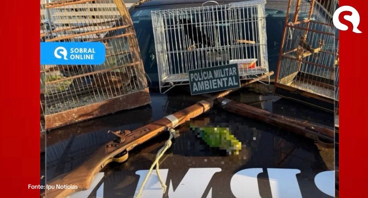 Homem é levado à delegacia após manter aves silvestres em cativeiro e possuir espingardas artesanais em Bela Cruz