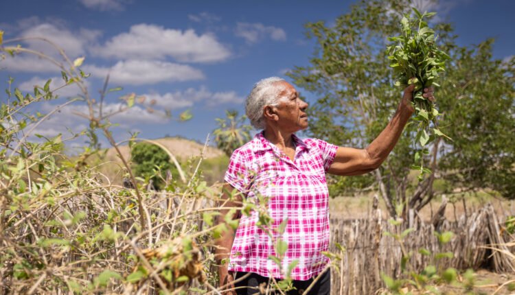 Imersão nos sabores do Cariri: Centro Cultural lança programa ‘Receita é Memória’ com inscrições abertas