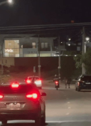 Animais soltos em Sobral: risco nas ruas do Belchior acende alerta para segurança viária