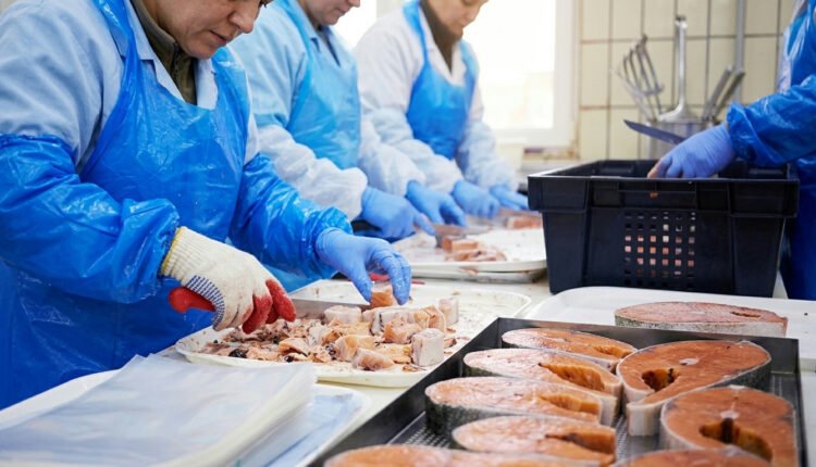 Exportações do Nordeste: Tarifas dos EUA ameaçam mais de US$ 450 milhões em produtos