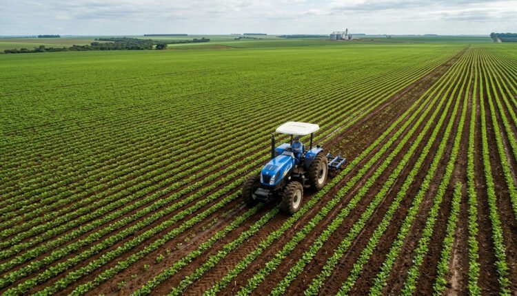Suno Fazendas impulsiona agronegócio do MT com R$ 51,8 milhões em terras