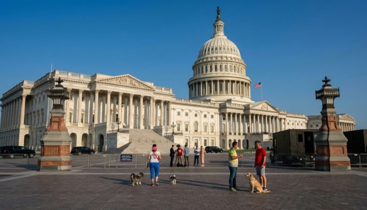 Washington sinaliza nova fase em combate ao narcotráfico com ações terrestres na América Latina