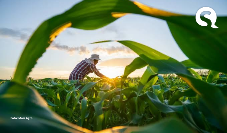Agro cresce 2,8% no 2º trimestre, acima do ritmo do PIB brasileiro