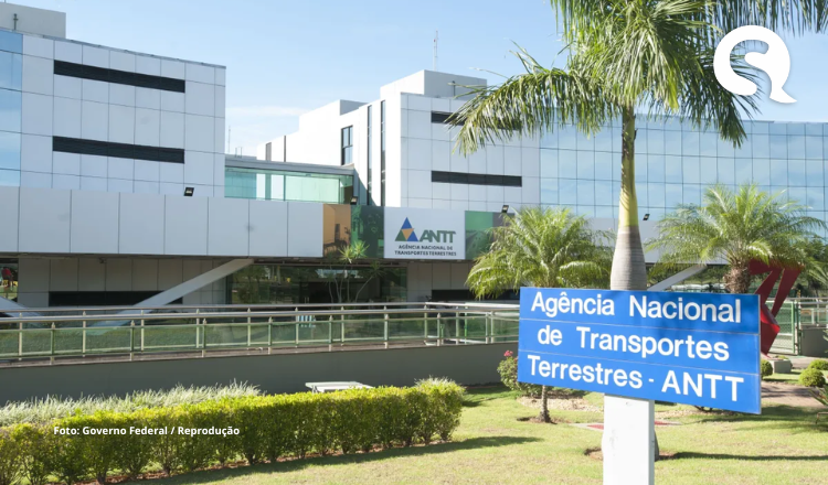 Governo marca para 11 de dezembro leilão da Rota do Pequi