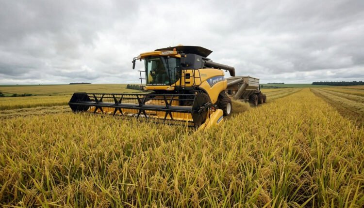 Fazenda de R$ 161 milhões no Mato Grosso do Sul vai a leilão em meio à crise do agronegócio