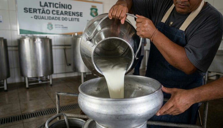 Produção de leite no Ceará: estado supera Bahia e alcança vice-liderança no Nordeste