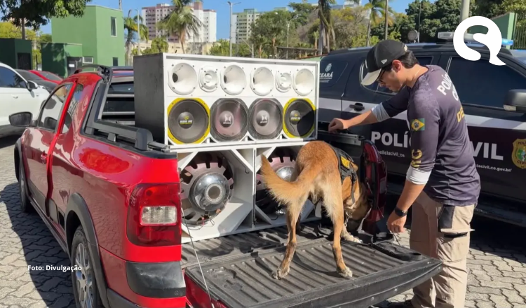 Motorista é preso e Polícia apreende 90 quilos de ‘supermaconha’ escondida em caixas de som