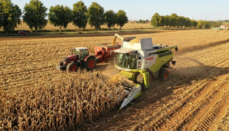 França registra a menor safra de milho em décadas após severas condições climáticas