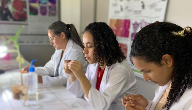 Programa Futuras Cientistas prorroga inscrições até 6 de novembro